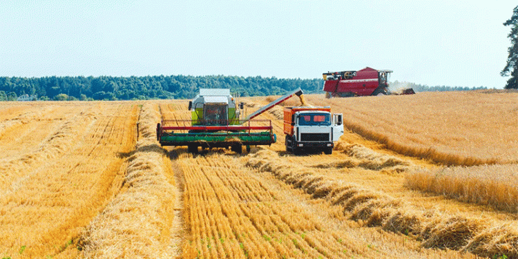 Logistics as a Lever: How Transport Subsidies are Reshaping Kazakhstan’s Grain Export Map