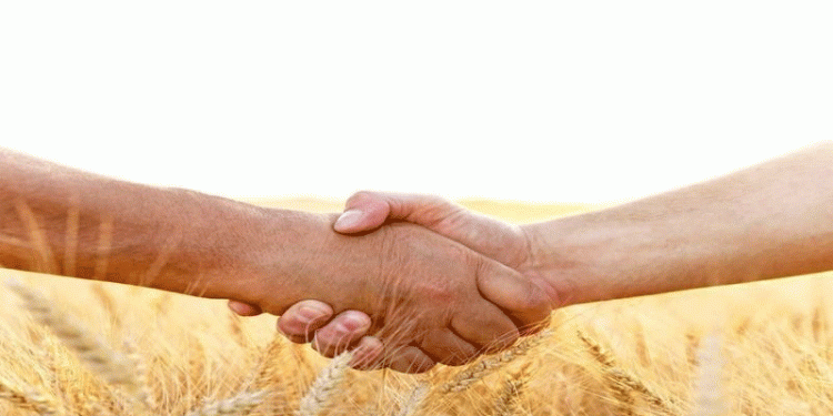 Budgeting on the Back of Farmers: Soaring Export Duties Signal Continued State Intervention in Grain