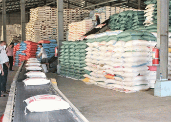 Beyond Yield: How Vietnam is Scaling Value-Added Rice Production for Global Markets