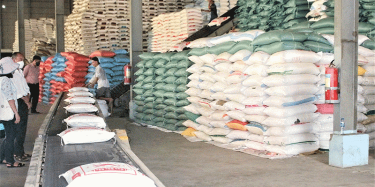 Beyond Yield: How Vietnam is Scaling Value-Added Rice Production for Global Markets