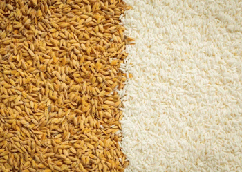 From Grain to Gourmet: How Goseong County is Cultivating Culinary Demand for Local Rice and Wheat