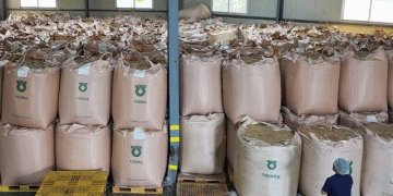 The Unyielding Price of Rice: Structural Shifts Drive Long-Term Inflation Concerns in South Korea