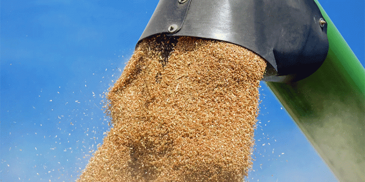 Beyond the Grain Silo: A $250 Million Bet on High-Value Wheat Processing in Kazakhstan