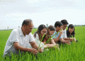 The New Rice Revolution: How Public-Private Partnerships are Building a Sustainable Future
