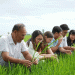 The New Rice Revolution: How Public-Private Partnerships are Building a Sustainable Future