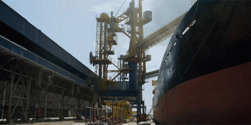 Beyond Tonnage: How Quality Protocols are Reopening Key Markets for Russian Wheat