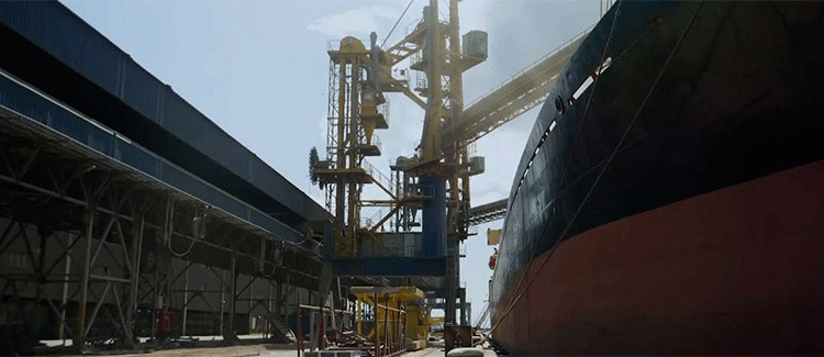 Beyond Tonnage: How Quality Protocols are Reopening Key Markets for Russian Wheat