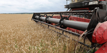 Belarus Nears 9.4 Million Tonne Harvest: A Data-Driven Look at a Diversifying Agrarian Power