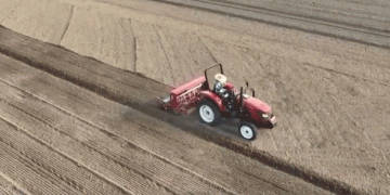 The Late-Sown Wheat Challenge: Maximizing the “Pre-Winter Golden Period” for a Successful Harvest