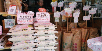 A Temporary Reprieve or a Lasting Trend? Decoding Japan’s Recent Dip in Rice Prices