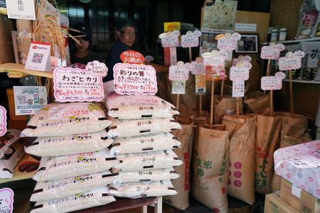 A Temporary Reprieve or a Lasting Trend? Decoding Japan’s Recent Dip in Rice Prices