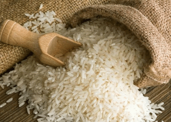 A System Under Siege: Japan’s Rice Crisis Demands Overhaul, Not Temporary Fixes