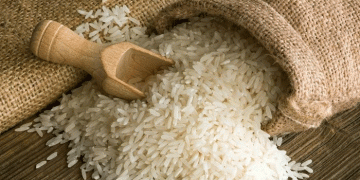 A System Under Siege: Japan’s Rice Crisis Demands Overhaul, Not Temporary Fixes