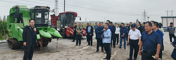 Precision to Plate: How Qingdao’s Tech-Driven “Green Grain Increase” is Reshaping Cereal Production