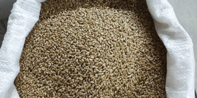 The New Breadbasket: How Russia Cemented its Dominance in the Turkish Grain Market