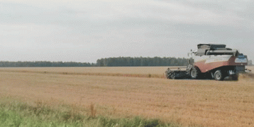 Beyond the Bin: How Kurgan Oblast is Engineering an Agricultural Renaissance