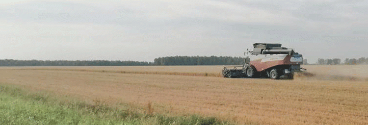 Beyond the Bin: How Kurgan Oblast is Engineering an Agricultural Renaissance