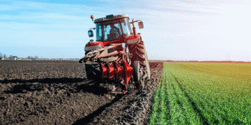 Moscow Region’s Agricultural Surge: Winter Wheat Leads 21% Yield Increase Amid Strategic Sowing