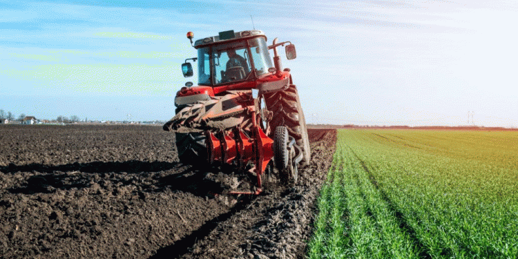 Moscow Region’s Agricultural Surge: Winter Wheat Leads 21% Yield Increase Amid Strategic Sowing