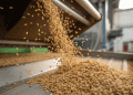 Profit & Shifting Portfolios: Inside Russia’s $2.2 Billion Grain Deep-Processing Industry