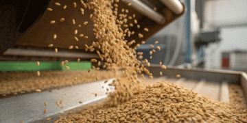 Profit & Shifting Portfolios: Inside Russia’s $2.2 Billion Grain Deep-Processing Industry