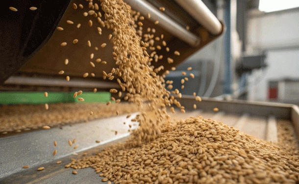Profit & Shifting Portfolios: Inside Russia’s $2.2 Billion Grain Deep-Processing Industry