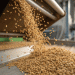 Profit & Shifting Portfolios: Inside Russia’s $2.2 Billion Grain Deep-Processing Industry