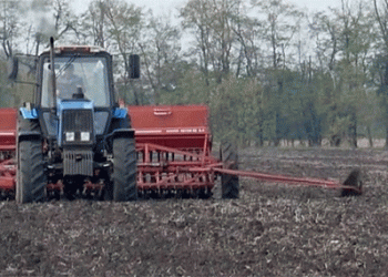 Kuban’s Strategic Wheat Expansion: 1.6 Million Hectares Set for 2026 Harvest Amid Climate Challenges