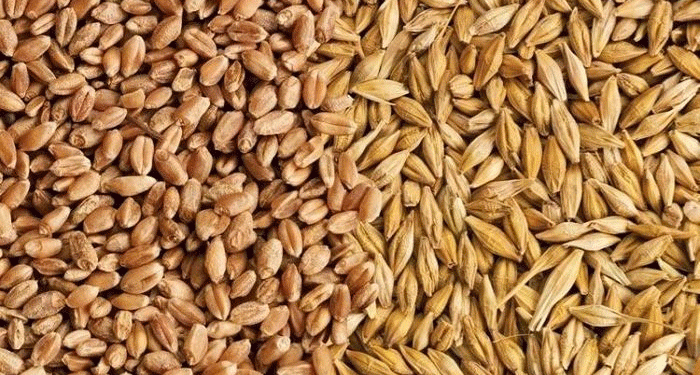 The New Breadbasket: Quantifying Russia’s Strategic Shift in African Food Security