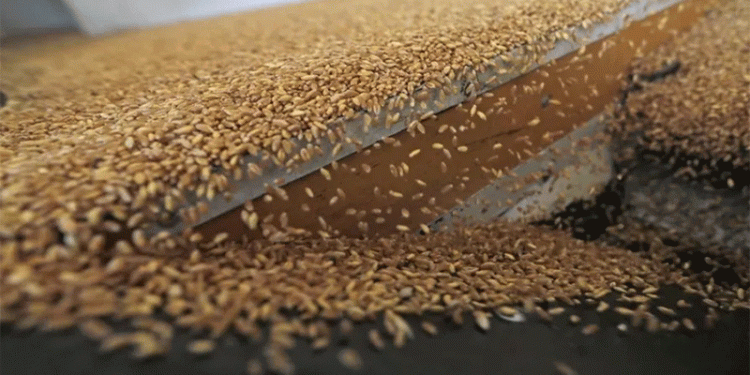 Strategic Grain Reserves & Subsidies: A Deep Dive into Jordan’s Price Stability Model