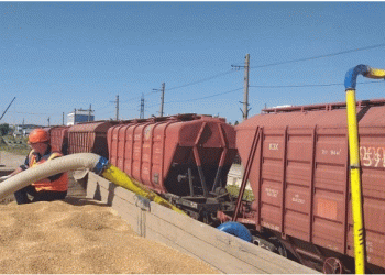 Beyond the Grain Train: How New Rail Corridors are Reshaping Agricultural Trade and Regional Stability