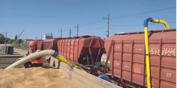 Beyond the Grain Train: How New Rail Corridors are Reshaping Agricultural Trade and Regional Stability