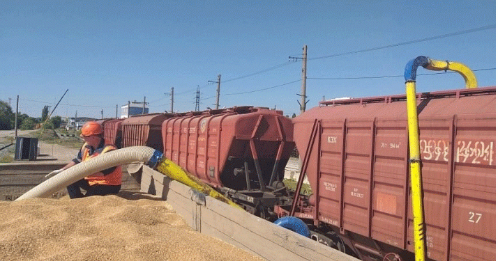 Beyond the Grain Train: How New Rail Corridors are Reshaping Agricultural Trade and Regional Stability