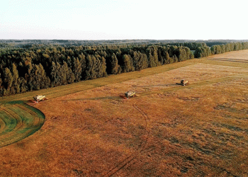 Weathering the Storm: How Agrokholding Doronichi Harvested 150K Tonnes Amidst a Challenging Season