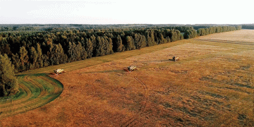 Weathering the Storm: How Agrokholding Doronichi Harvested 150K Tonnes Amidst a Challenging Season