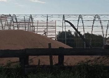 Beyond the Usual Suspects: New Export Corridors Open for Russian Grain