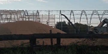 Beyond the Usual Suspects: New Export Corridors Open for Russian Grain