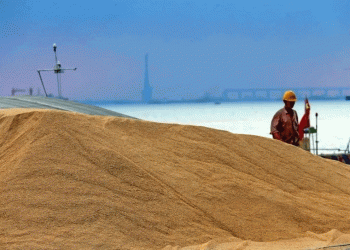 Russia Cements Wheat Dominance in Egypt: A Strategic Shift in Global Grain Flows