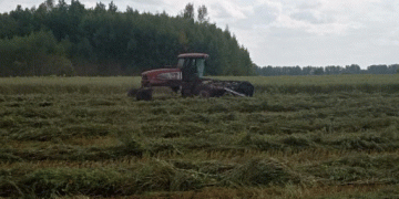 Beyond the Usual Suspects: How Tatarstan is Winning in the High-Stakes Chinese Grain Market