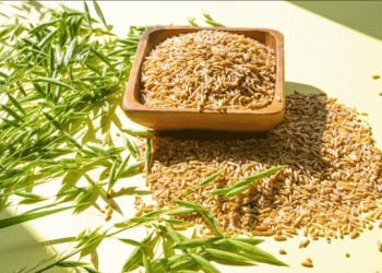 Beyond the Breakfast Bowl: How Gangjin’s Naked Oats Are Capturing the Health-Conscious Consumer