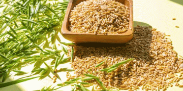 Beyond the Breakfast Bowl: How Gangjin’s Naked Oats Are Capturing the Health-Conscious Consumer