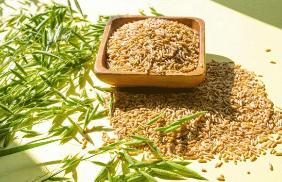 Beyond the Breakfast Bowl: How Gangjin’s Naked Oats Are Capturing the Health-Conscious Consumer