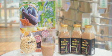 From Lab to Luxury: Decoding the ‘Black Sweet Jade’ Corn Model for High-Value Agriculture