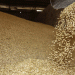 A Slight Dip with Strategic Depth: Analyzing Kurgan’s Grain and Oilseed Exports to China