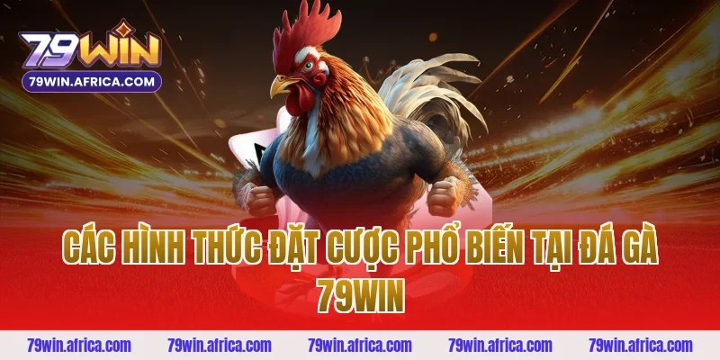Các Hình Thức Đặt Cược Phổ Biến Tại Đá Gà 79win