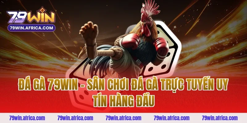 Đá Gà 79win – Sân Chơi Đá Gà Trực Tuyến Uy Tín Hàng Đầu