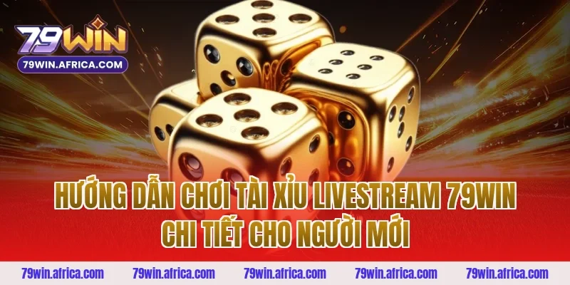 Hướng dẫn chơi tài xỉu livestream 79win chi tiết cho người mới