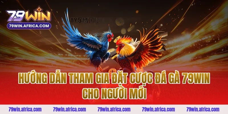 Hướng Dẫn Tham Gia Đặt Cược Đá Gà 79win Cho Người Mới