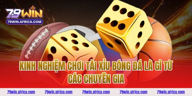 Kinh nghiệm chơi tài xỉu bóng đá là gì từ các chuyên gia
