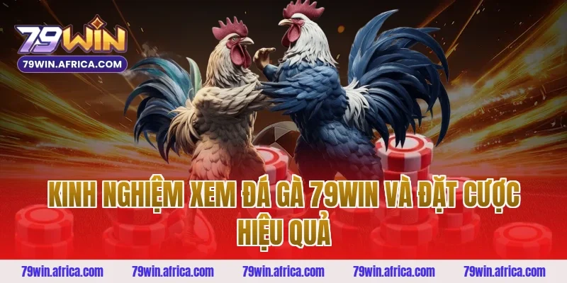 Kinh Nghiệm Xem Đá Gà 79win Và Đặt Cược Hiệu Quả